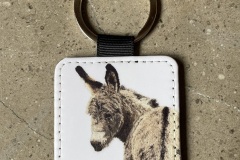 Grey Donkey