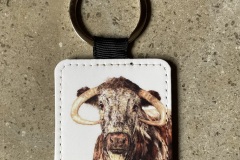 English Longhorn