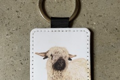 Valais Blacknose 