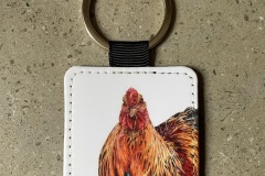 Brahma Cockerel