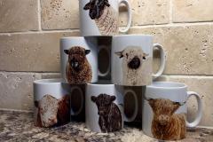 8271e1f1-45de-4009-87ae-58f22bd360cf