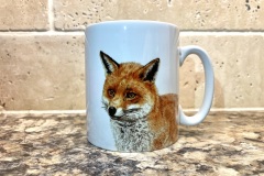 Mr.Fox
