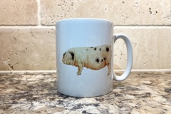 Gloucestershire Old Spot