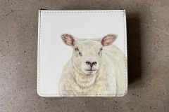 Texel
