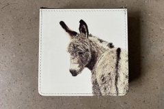 Grey Donkey