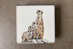 Meerkat Family