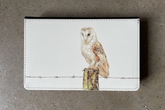 Barn Owl