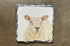Texel