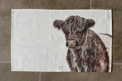 Belted Galloway