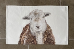 Herdwick Sheep