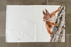 Red Squirrel