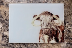 English Longhorn 